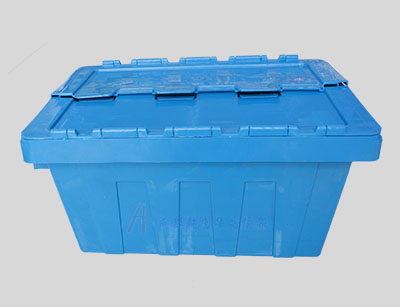 <b>wбʽ 01</b>
